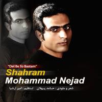 پخش و دانلود آهنگ دل به تو بستم از شهرام محمد نژاد