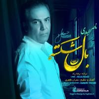پخش و دانلود آهنگ بال شکسته از ناصر حیدری