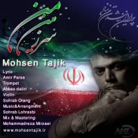 پخش و دانلود آهنگ سرزمین من از محسن تاجیک
