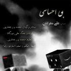 پخش و دانلود آهنگ بی احساسی از علی مهرگان
