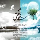 پخش و دانلود آهنگ سمت خوشبختی از علی سلطانی