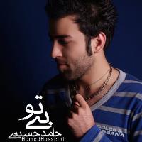 پخش و دانلود آهنگ بی تو از حامد حسینی ۱