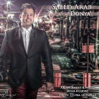 دانلود و پخش آهنگ دنیا از سعید عرب