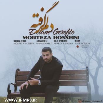 پخش و دانلود آهنگ دلم گرفته از مرتضی حسینی