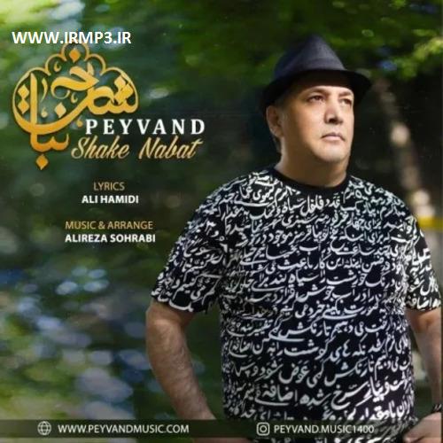متن آهنگ شاخه نبات از پیوند