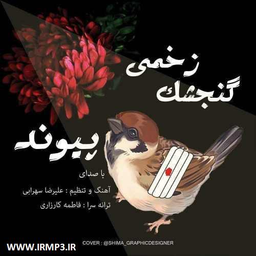 پخش و دانلود آهنگ گنجشک زخمی از پیوند