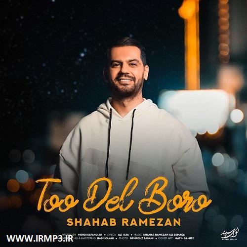 پخش و دانلود آهنگ تو دل برو از شهاب رمضان