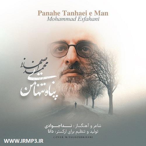 پخش و دانلود آهنگ پناه تنهایی من از محمد اصفهانی