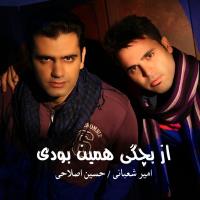 دانلود و پخش آهنگ از بچگی همین بودی از امیر شعبانی و حسین اصلاحی