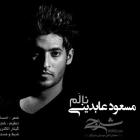 دانلود و پخش آهنگ نالم از مسعود عابدینی