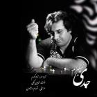 دانلود و پخش آهنگ جدی نمی گیرم از شاهین ملکی