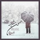 دانلود و پخش آهنگ همون شد از مرتضی حاج یوسفی
