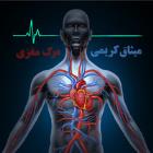 دانلود و پخش آهنگ مرگ مغزی از میثاق کریمی