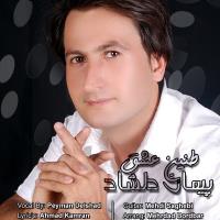 دانلود و پخش آهنگ طنین عشق از پیمان دلشاد