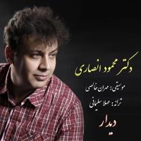 دانلود و پخش آهنگ دیدار از دکتر محمود انصاری