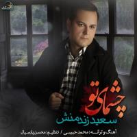 دانلود و پخش آهنگ چشمای تو از سعید زندمنش