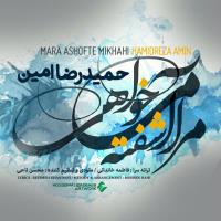 دانلود و پخش آهنگ مرا آشفته می خواهی از حمیدرضا امین