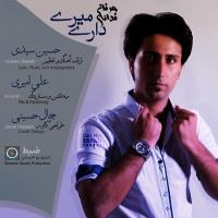 دانلود و پخش آهنگ داری میری از عرفان فدایی