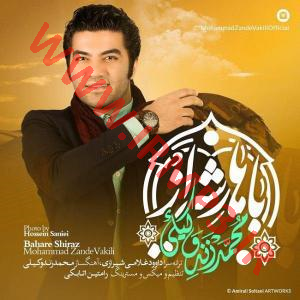 دانلود و پخش آهنگ باهار شیراز از محمد زند وکیلی