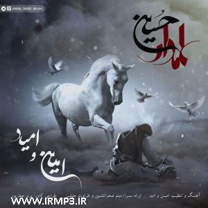 دانلود و پخش آهنگ علمدار حسین از امین و امید