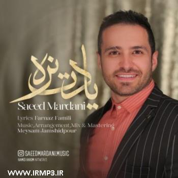 دانلود و پخش آهنگ یادت نره از سعید مردانی