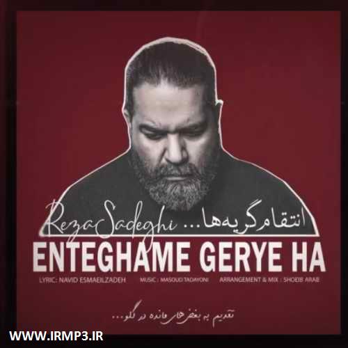 دانلود و پخش آهنگ انتقام گریه ها از رضا صادقی