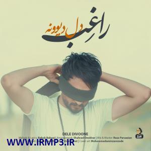 متن آهنگ دل دیوونه از راغب