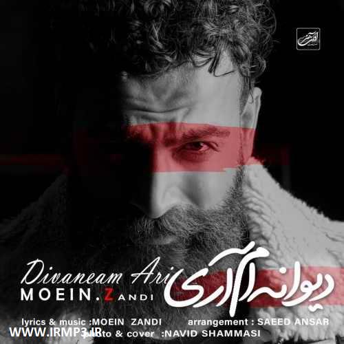 متن آهنگ دیوانه ام آری از معین زد