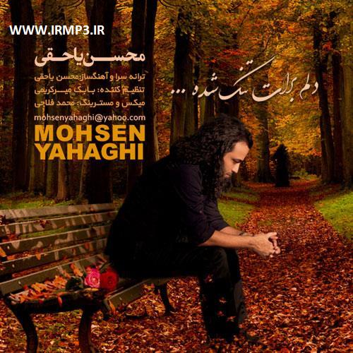 دانلود و پخش آهنگ دلم برات تنگ شده از محسن یاحقی